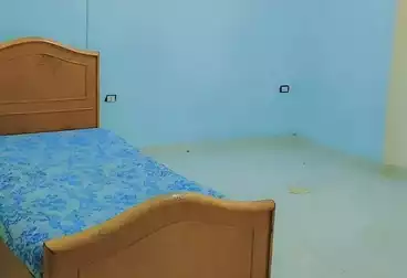 undefined undefined - 3 rooms - floor 1