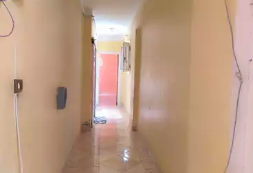 Apartments For rent - 2 rooms - floor 11