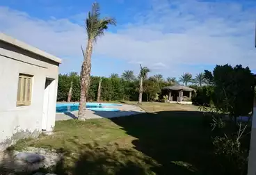 Farm For sale