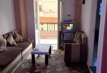 شقق مفروشة للإيجار - 3 غرف - بالدور 1