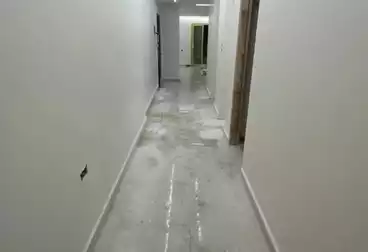 Apartments For rent - 3 rooms - floor 6