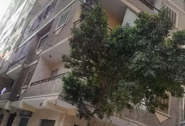 House / Home For sale - 3 rooms