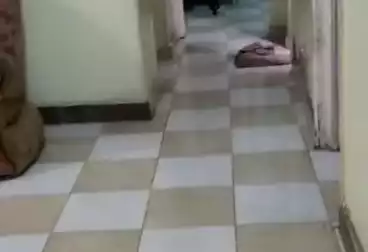 undefined undefined - 3 rooms - floor 0