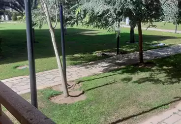 Apartments For sale - 1 rooms - floor 0
