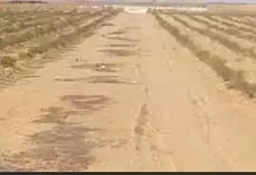 Residential Land For sale