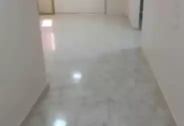 Apartments For rent - 3 rooms - floor 6