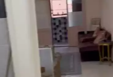 شقق للبيع - 2 غرف - بالدور 0