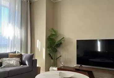 شقق مفروشة للإيجار - 2 غرف - بالدور 2
