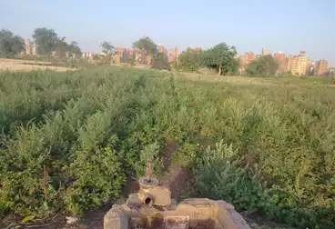 Farm For sale