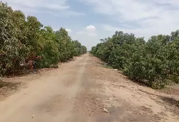 Farm For sale