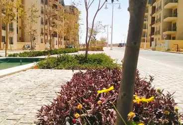 undefined undefined - 3 غرف - بالدور 3