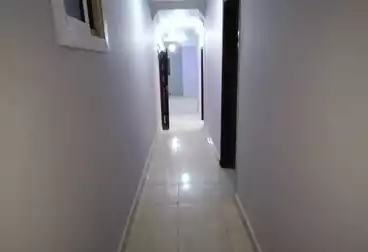 Properties For rent - 3 rooms - floor 1