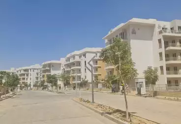 شقق للبيع - 3 غرف - بالدور 1
