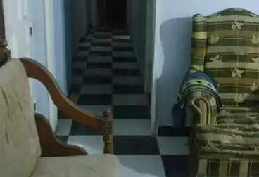 شقق للبيع - 2 غرف - بالدور 0