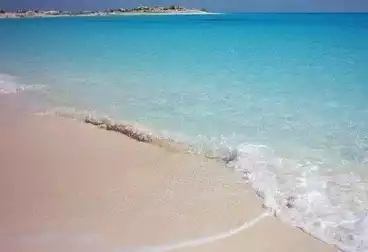 شاليهات للبيع - 2 غرف - بالدور 1