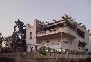 فلل للبيع - 11 غرف