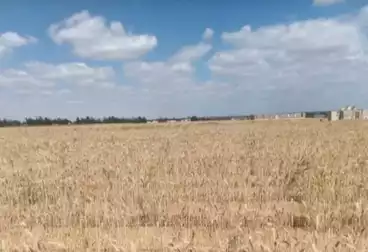 أرض زراعية للبيع