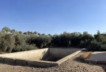 Farm For sale