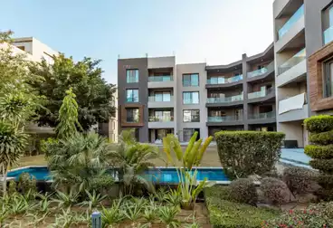 Apartments For rent - 1 rooms - floor 0