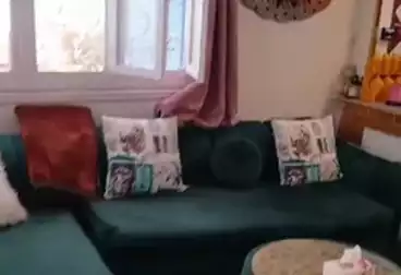 Properties For rent - 3 rooms - floor 0