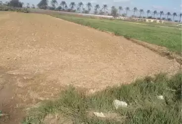 Farm For sale