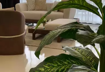 Furnished Apartment For rent - 2 rooms - floor 1