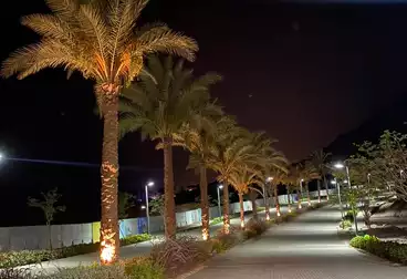شاليهات للبيع - 3 غرف - بالدور 2