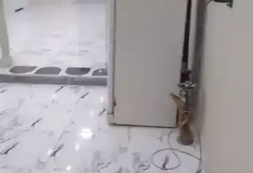 شقق للإيجار - 3 غرف - بالدور 12