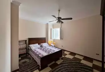 Apartments For rent - 2 rooms - floor 12