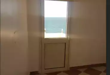 Apartments For rent - 2 rooms - floor 7