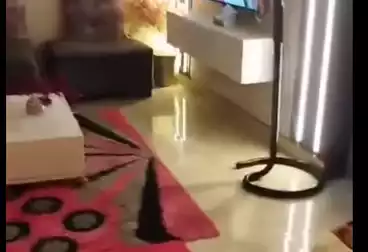 undefined undefined - 2 rooms - floor 11