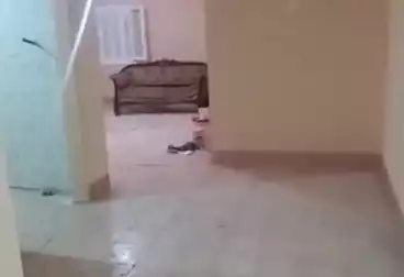 undefined undefined - 3 rooms - floor 1