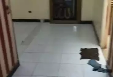 undefined undefined - 2 rooms - floor 1
