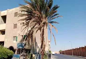 Apartments For sale - 2 rooms - floor 4