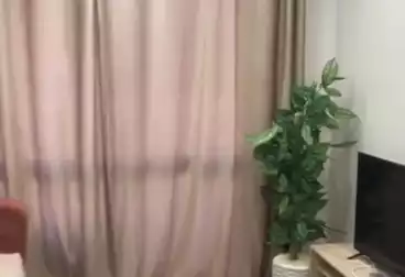 Furnished Apartment For rent - 2 rooms - floor 3