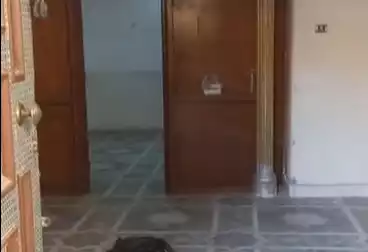 Properties For rent - 2 rooms - floor 6