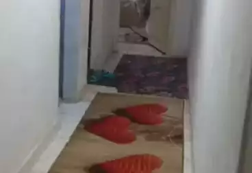 undefined undefined - 3 rooms - floor 1