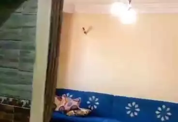 undefined undefined - 2 rooms - floor 8