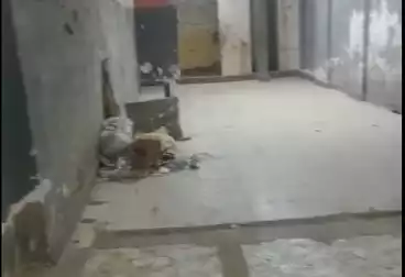 Commercial For rent - floor 0