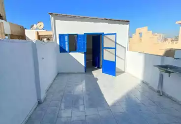 Roof For sale - 3 rooms - floor 5