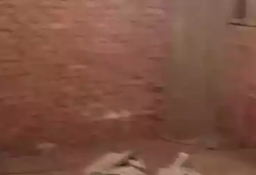 Apartments For sale - 3 rooms - floor 11