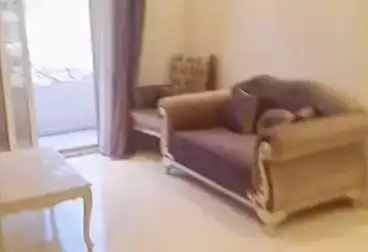 شقق للبيع - 3 غرف - بالدور 6