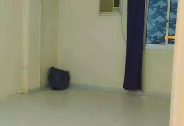 undefined undefined - 2 rooms - floor 10