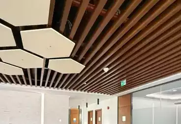 Full Floor Administrative For rent - 35 rooms - floor 0