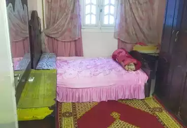 شقق مفروشة للإيجار - 2 غرف - بالدور 5