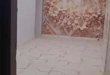 Apartments For rent - 3 rooms - floor 2