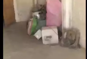 Apartments For sale - 4 rooms - floor 7