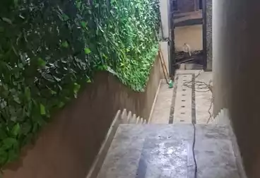 شقق للبيع - 2 غرف - بالدور 0