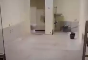 Shops For rent - floor 0