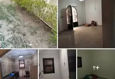 شقة بحديقة للإيجار - 2 غرف - بالدور 0